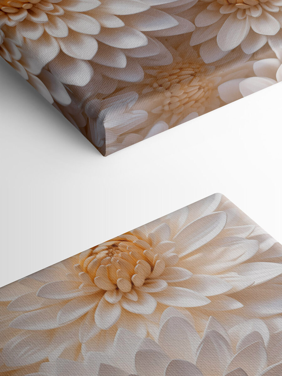 Groupe de fleurs blanches
