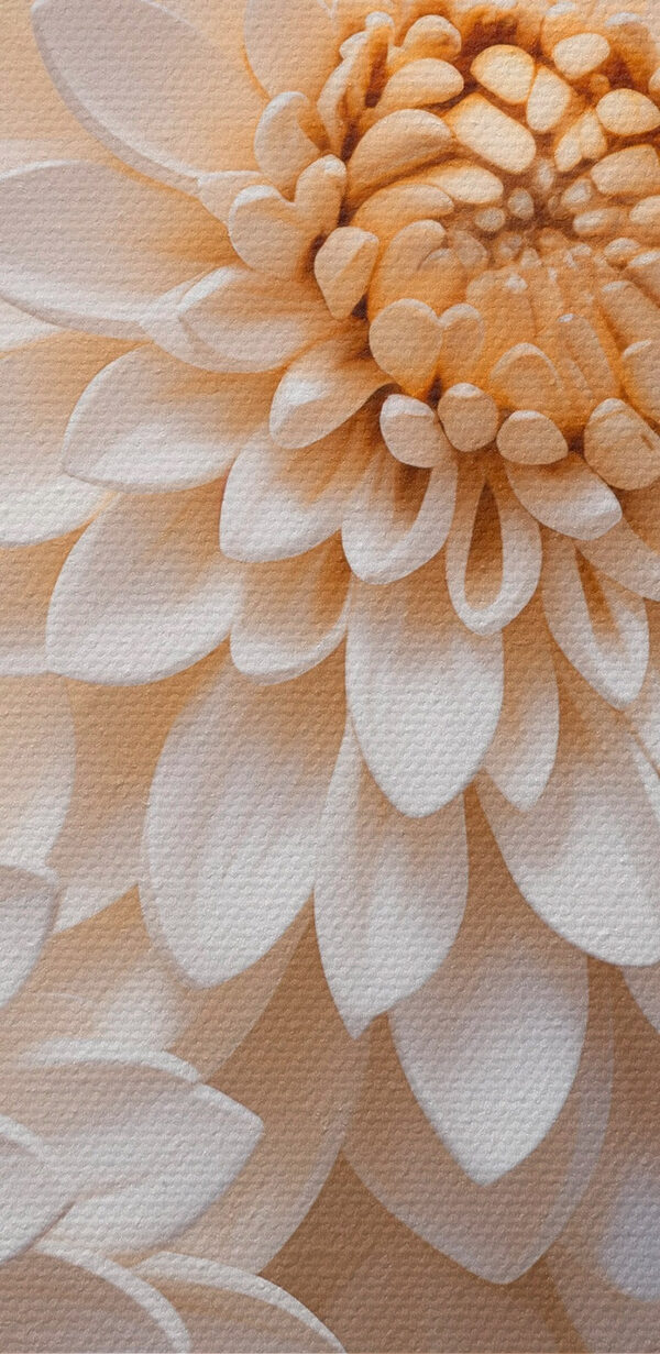 Groupe de fleurs blanches Groupe de fleurs blanches