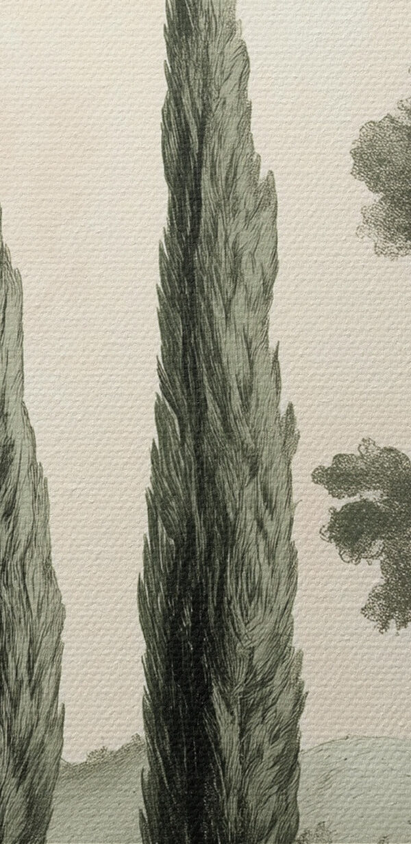 Groupe d'arbres sur une colline Groupe d'arbres sur une colline