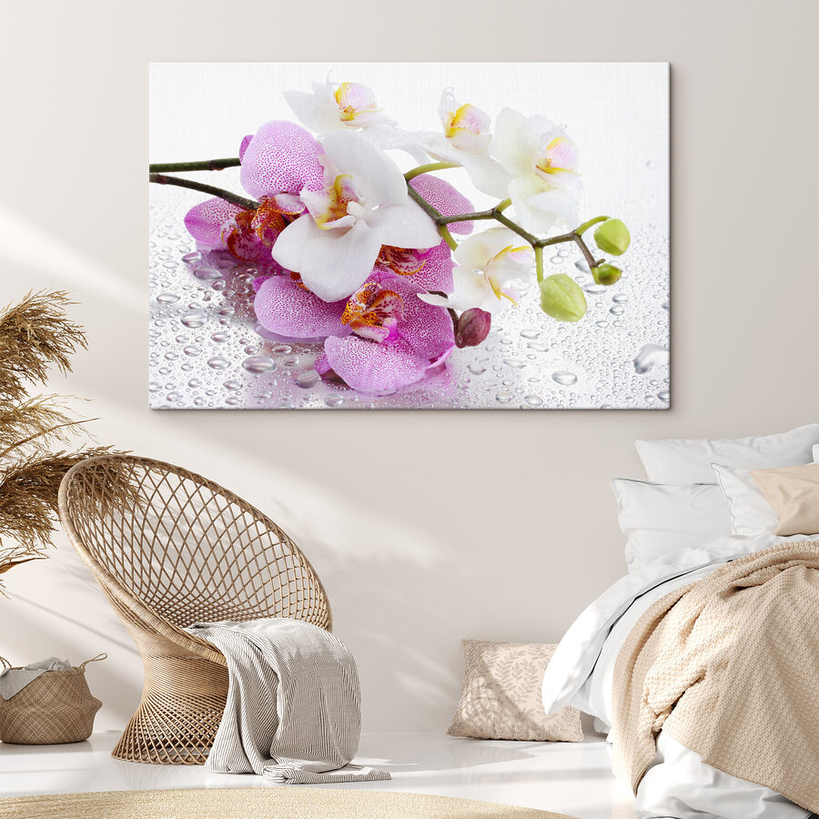 Gros plan sur les fleurs