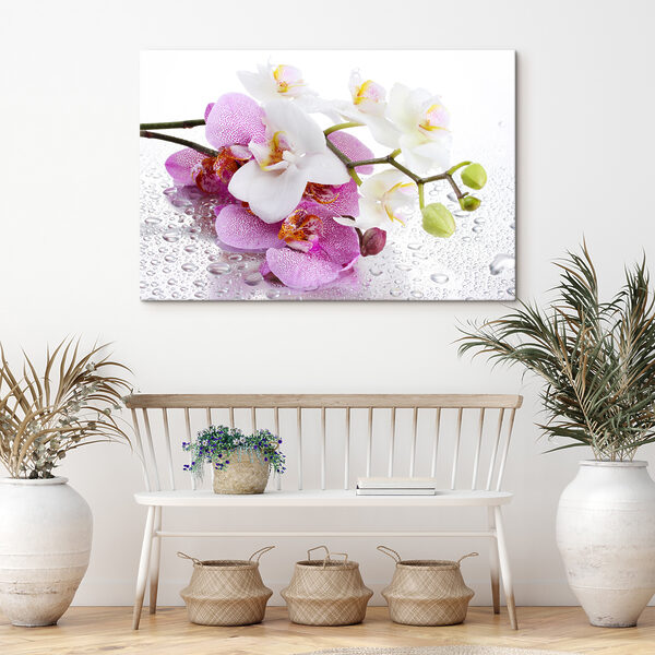 Gros plan sur les fleurs Gros plan sur les fleurs