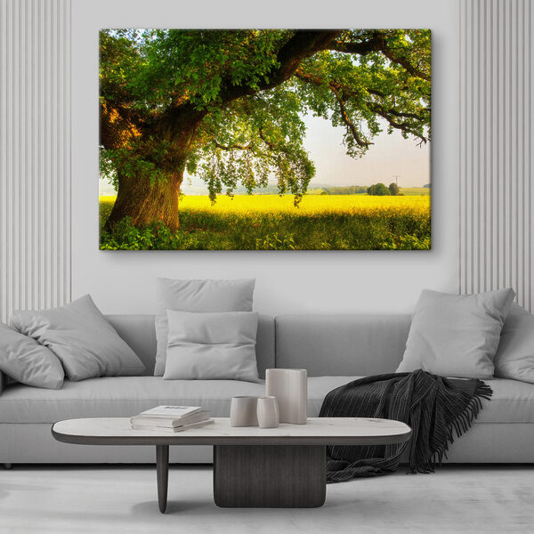 A tree in a field A tree in a field
