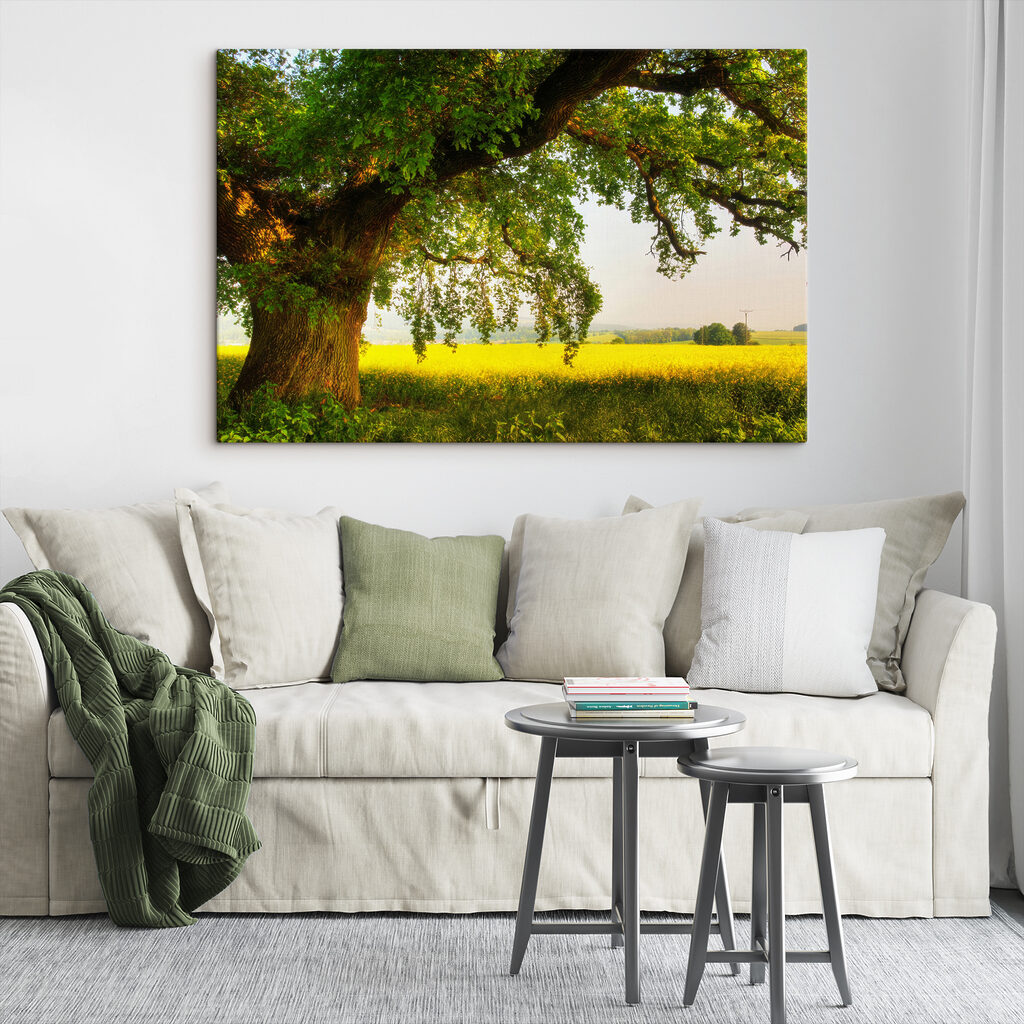 A tree in a field A tree in a field