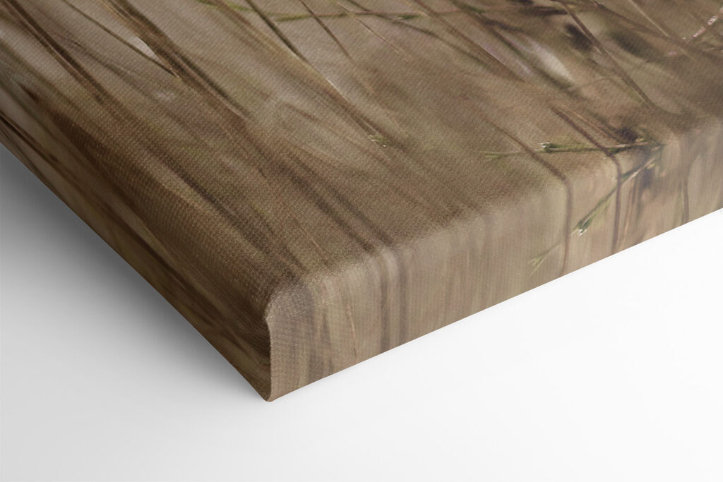 A close up of a plant A close up of a plant