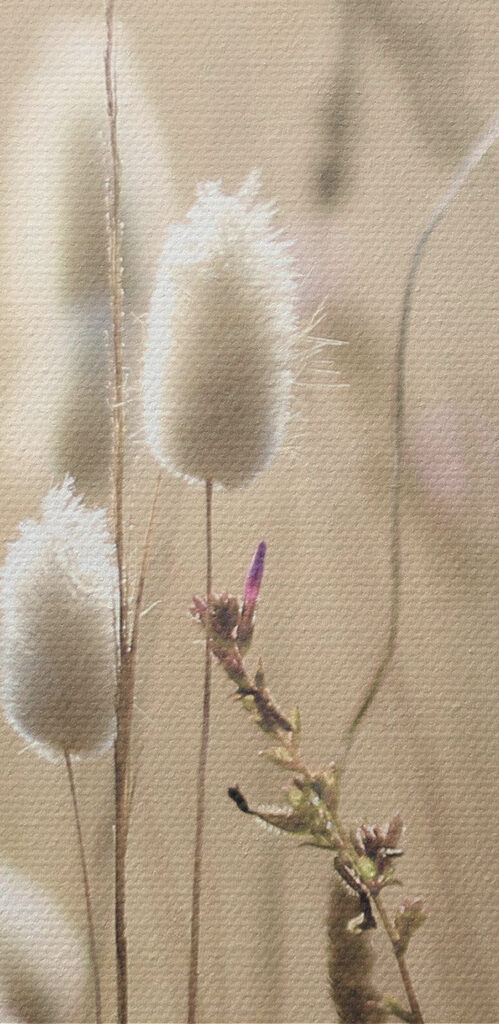 A close up of a plant A close up of a plant