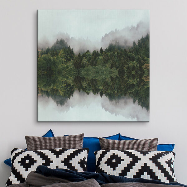 A reflection of trees in the water