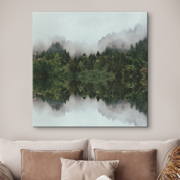 A reflection of trees in the water