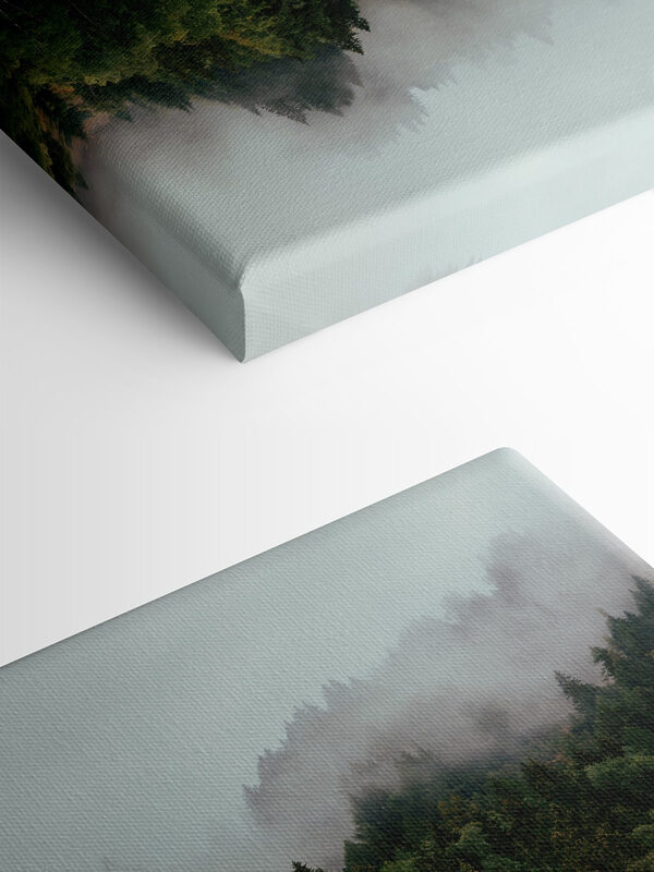 A reflection of trees in the water