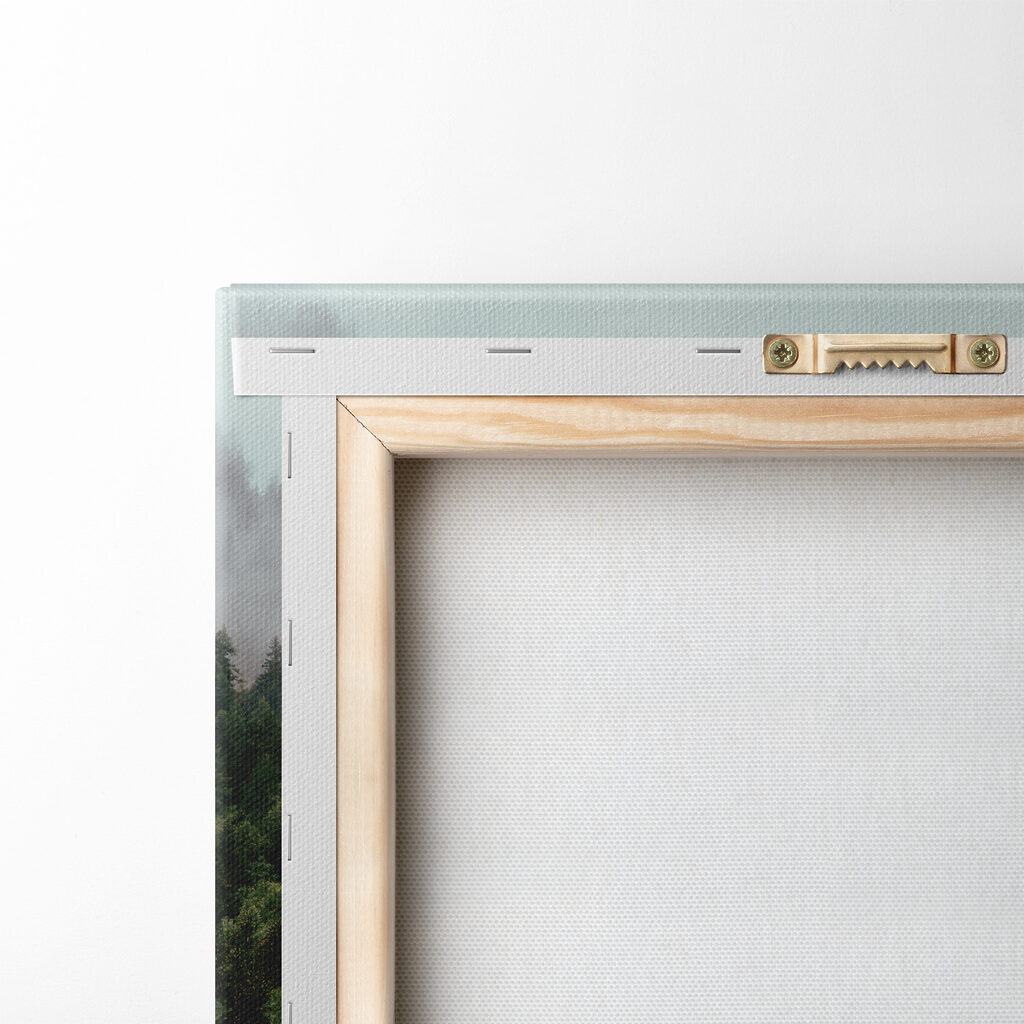 A reflection of trees in the water