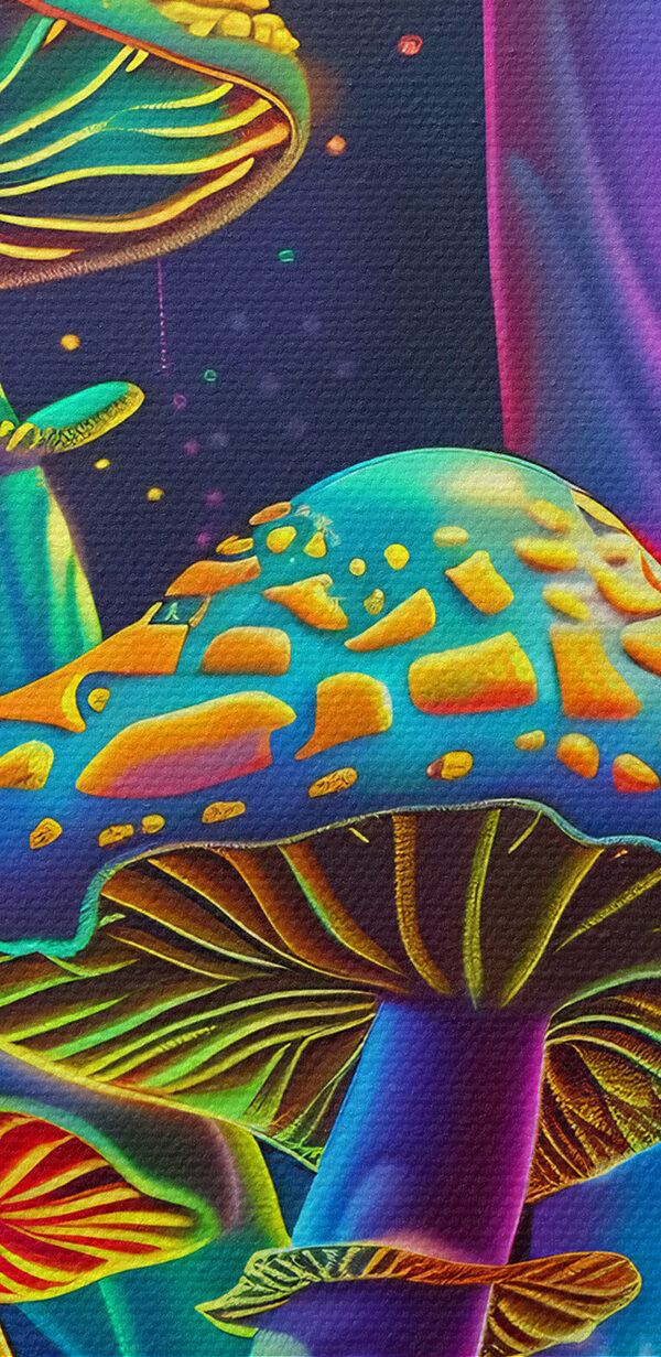 Champignons colorés dans une forêt Champignons colorés dans une forêt