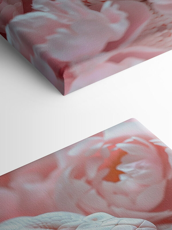 Serpent blanc dans des fleurs roses Serpent blanc dans des fleurs roses