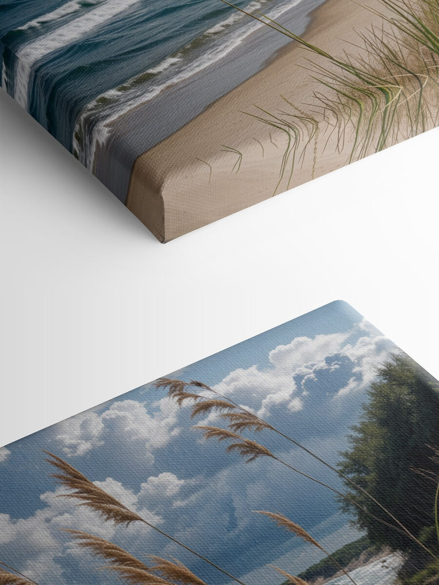 Beach with tall grass and water Beach with tall grass and water