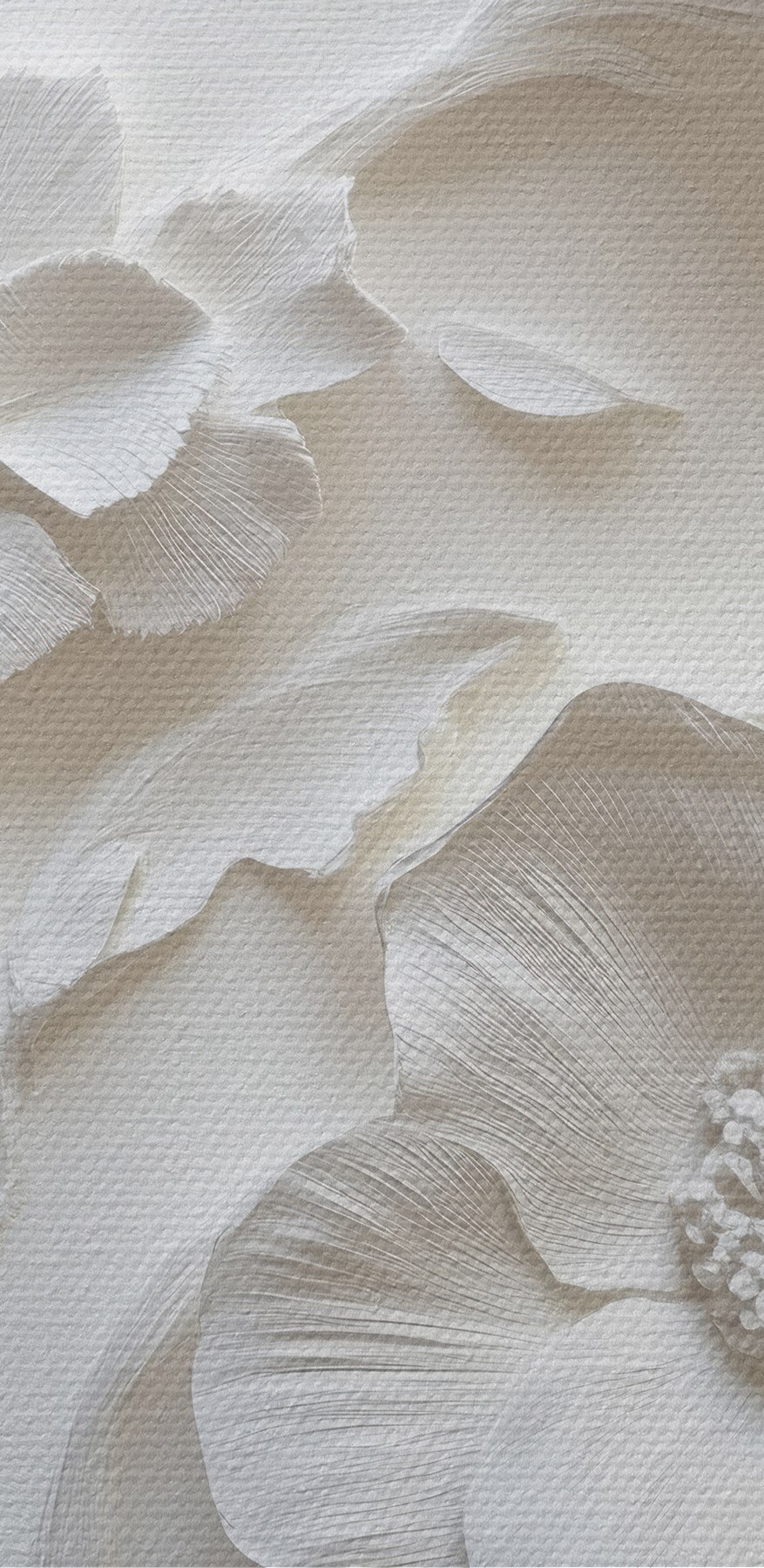 Mur blanc avec fleurs Mur blanc avec fleurs