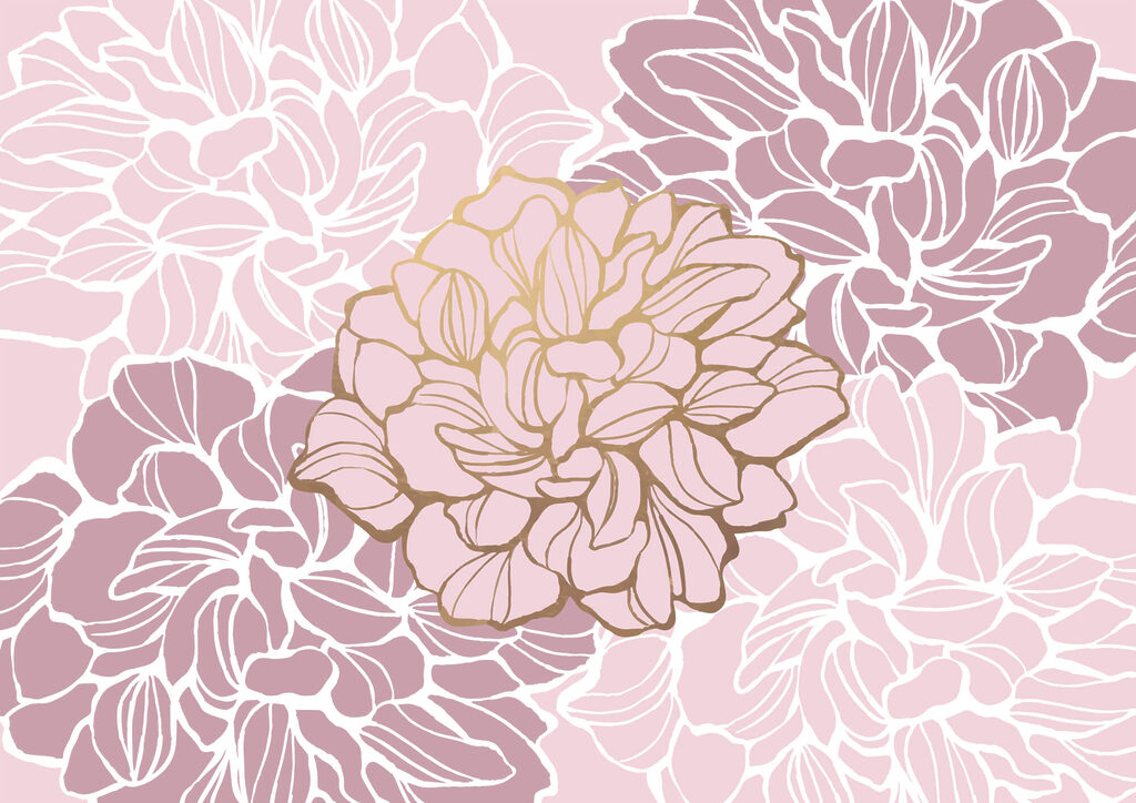 Fleur rose et blanche Fleur rose et blanche