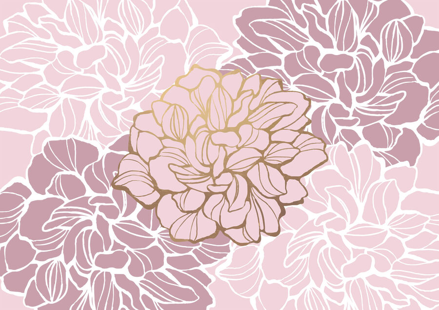 Fleur rose et blanche t00003v1p 900x636 - Fleur rose et blanche - tegory