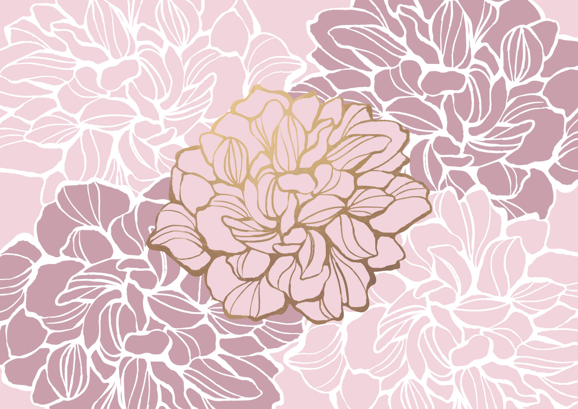 Fleur rose et blanche t00003v1p - Fleur rose et blanche - tegory