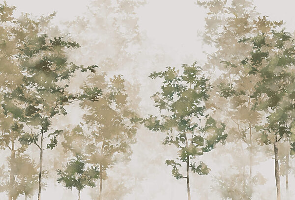 Groupe d'arbres avec brouillard t00008p 600x406 - Groupe d'arbres avec brouillard - tegory