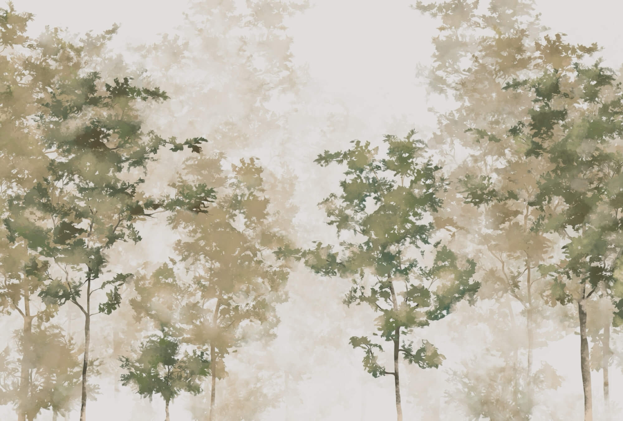 Groupe d'arbres avec brouillard t00008p - Groupe d'arbres avec brouillard - tegory