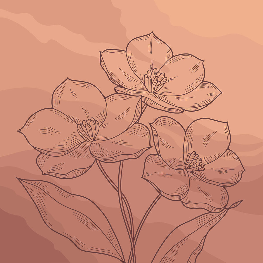 Dessin de fleurs sur fond rose