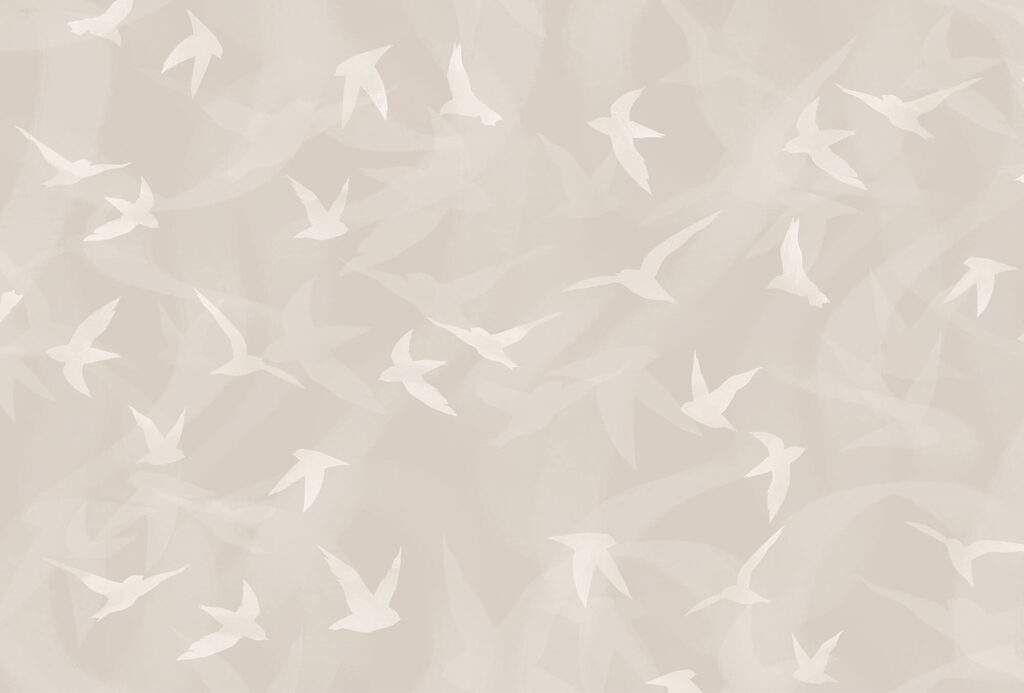 Oiseaux blancs volant dans les airs Oiseaux blancs volant dans les airs