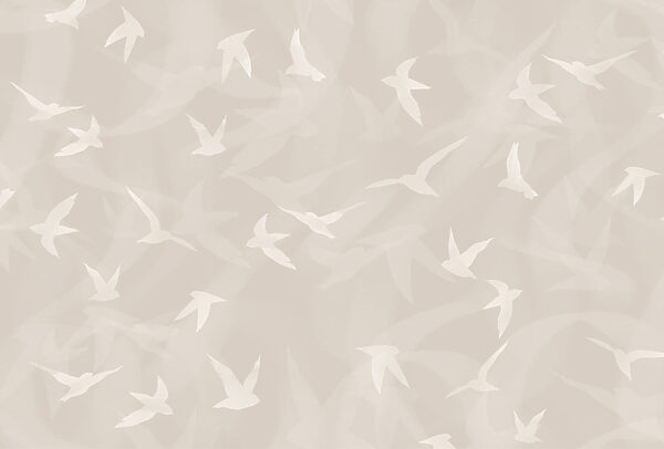 Oiseaux blancs volant dans les airs Oiseaux blancs volant dans les airs