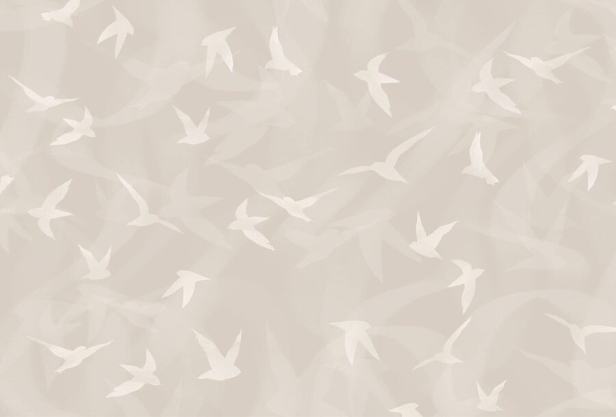 Oiseaux blancs volant dans les airs