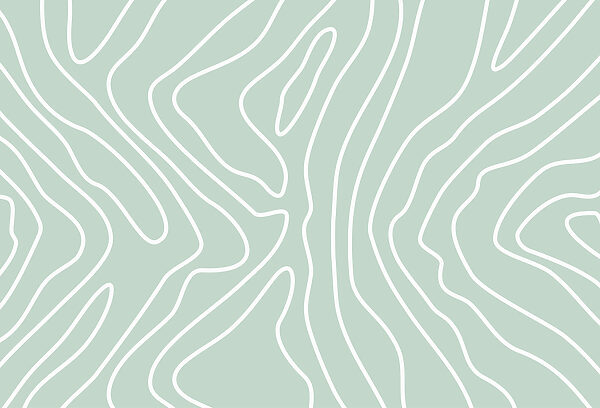 Lignes blanches sur fond vert clair Lignes blanches sur fond vert clair