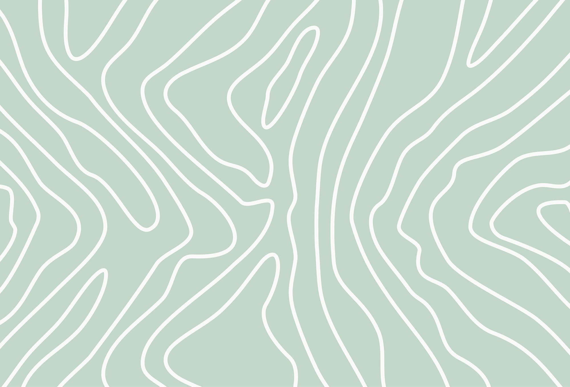 White lines on a light green background