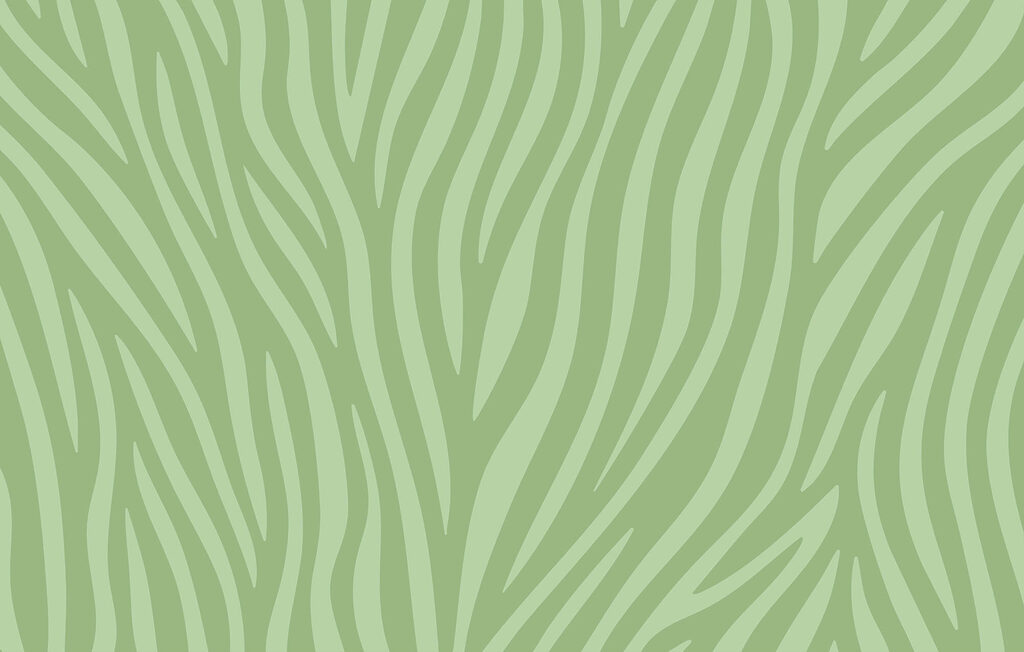 Imprimé zébré vert et blanc Imprimé zébré vert et blanc