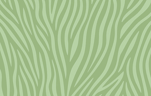 Imprimé zébré vert et blanc Imprimé zébré vert et blanc
