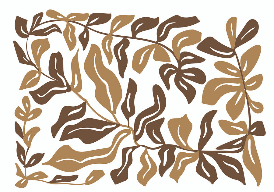 Feuilles brunes et feuillues Feuilles brunes et feuillues