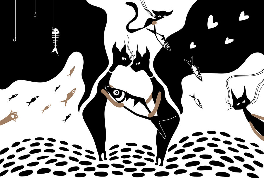 Chat noir et blanc avec poisson et poisson