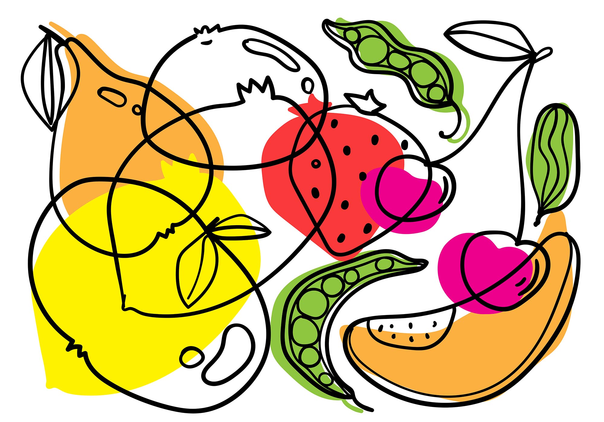 Drawing of different fruits and vegetables