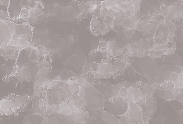 Fond gris et blanc Fond gris et blanc