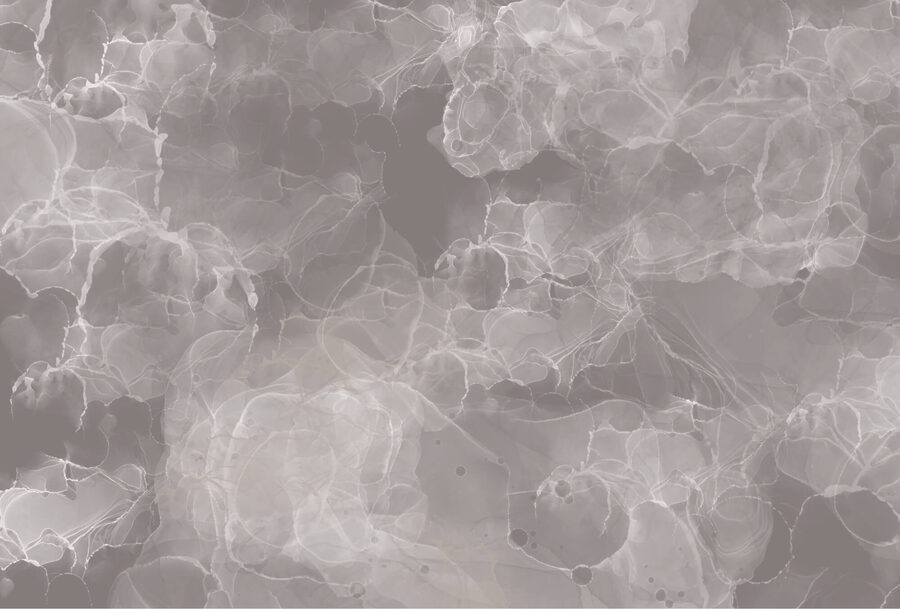 Fond gris et blanc