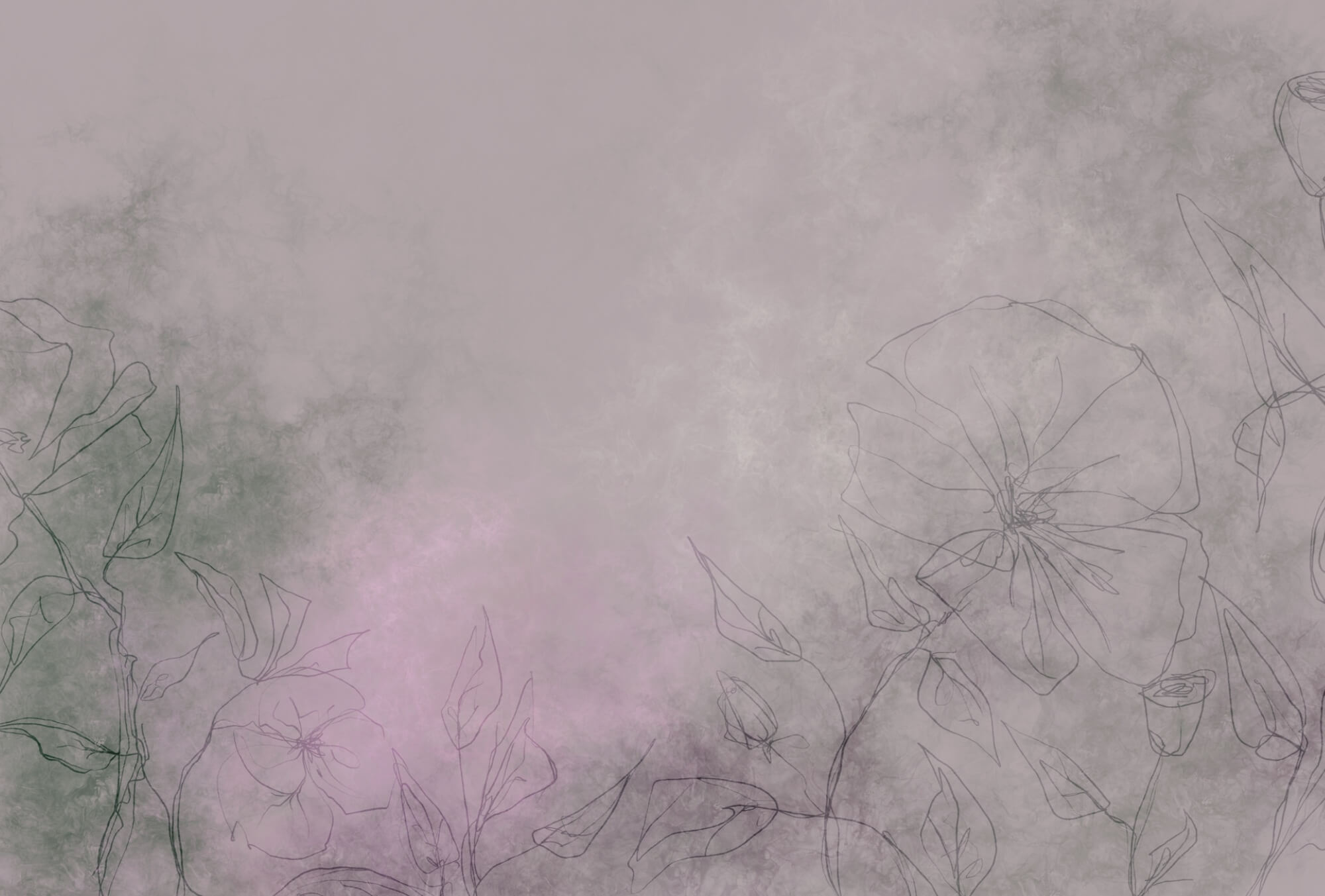 Drawing of flowers on a white surface Drawing of flowers on a white surface