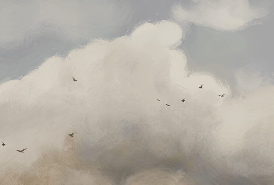 Oiseaux volant dans le ciel