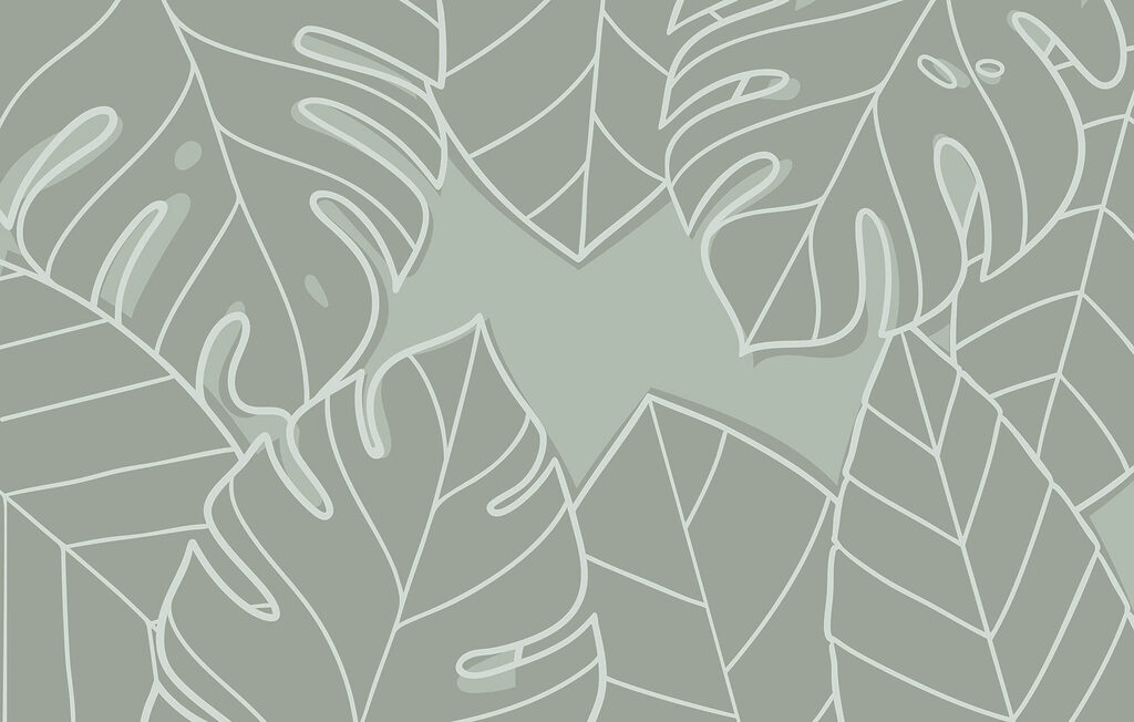 Groupe de feuilles sur fond gris Groupe de feuilles sur fond gris