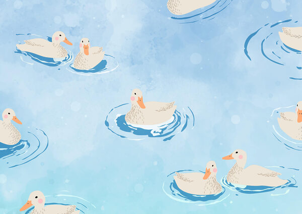 Groupe de canards nageant dans l'eau Groupe de canards nageant dans l'eau