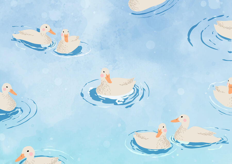 Groupe de canards nageant dans l'eau
