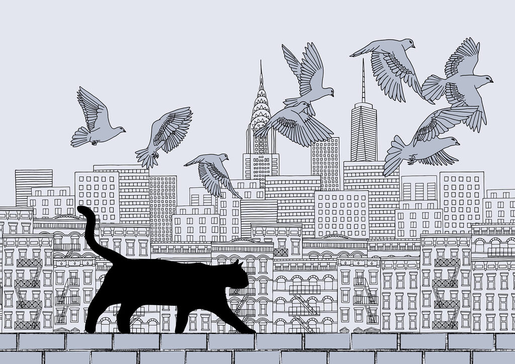 Chat marchant sur un mur avec des oiseaux volant dans le ciel Chat marchant sur un mur avec des oiseaux volant dans le ciel