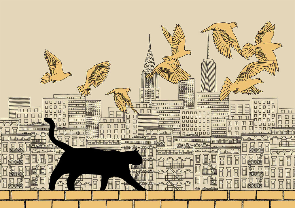 Chat marchant sur un mur avec des oiseaux volant dans le ciel Chat marchant sur un mur avec des oiseaux volant dans le ciel