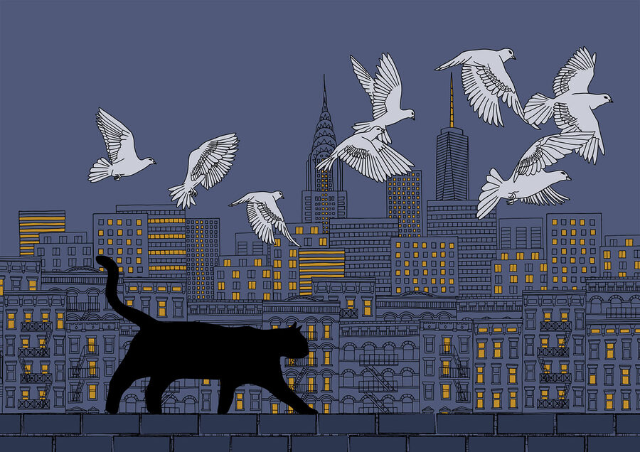 Chat marchant sur un mur avec des oiseaux volant dans le ciel