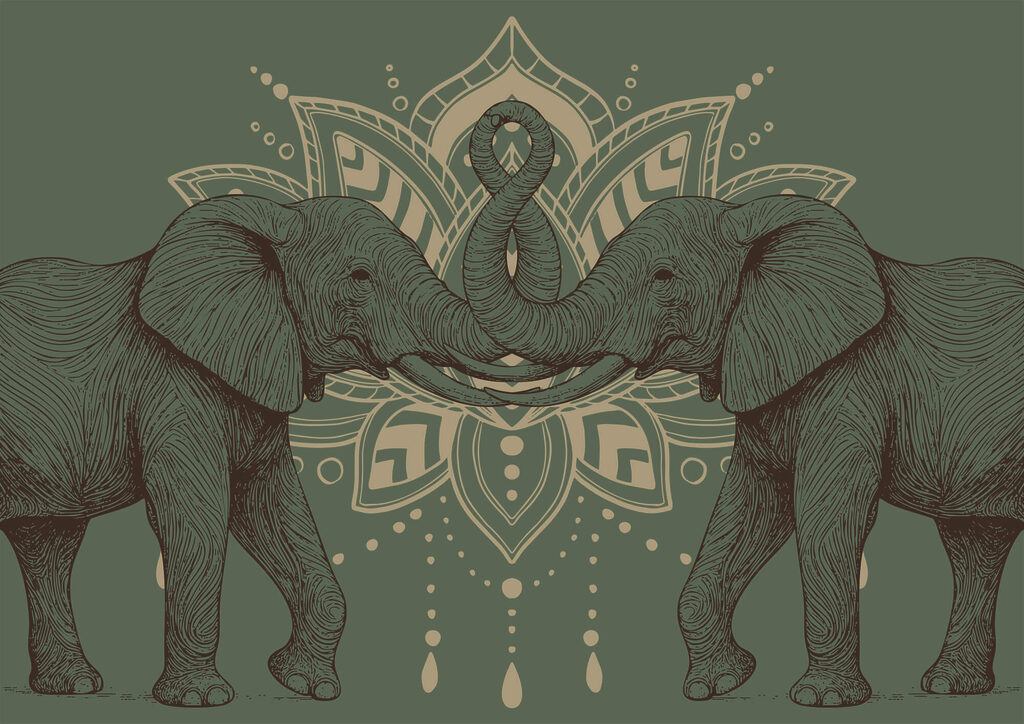 Deux éléphants dont les trompes se touchent Deux éléphants dont les trompes se touchent