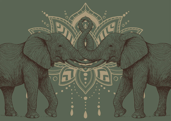 Deux éléphants dont les trompes se touchent Deux éléphants dont les trompes se touchent