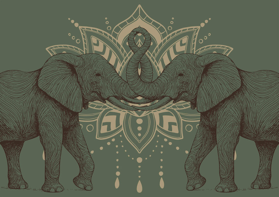 Deux éléphants dont les trompes se touchent