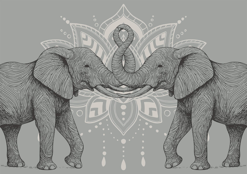 Deux éléphants dont les trompes se touchent Deux éléphants dont les trompes se touchent