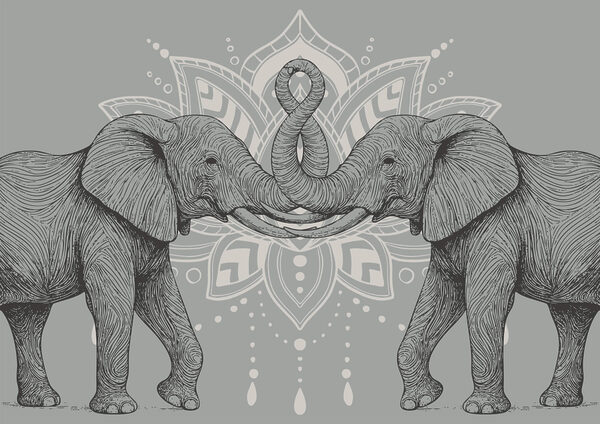 Deux éléphants dont les trompes se touchent Deux éléphants dont les trompes se touchent