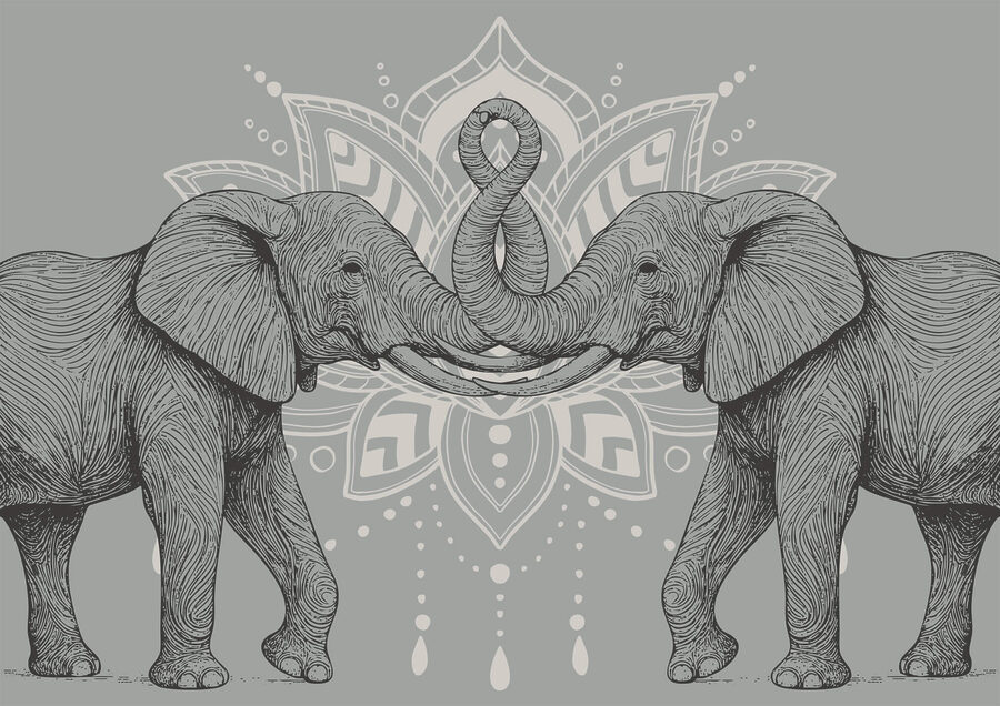 Deux éléphants dont les trompes se touchent