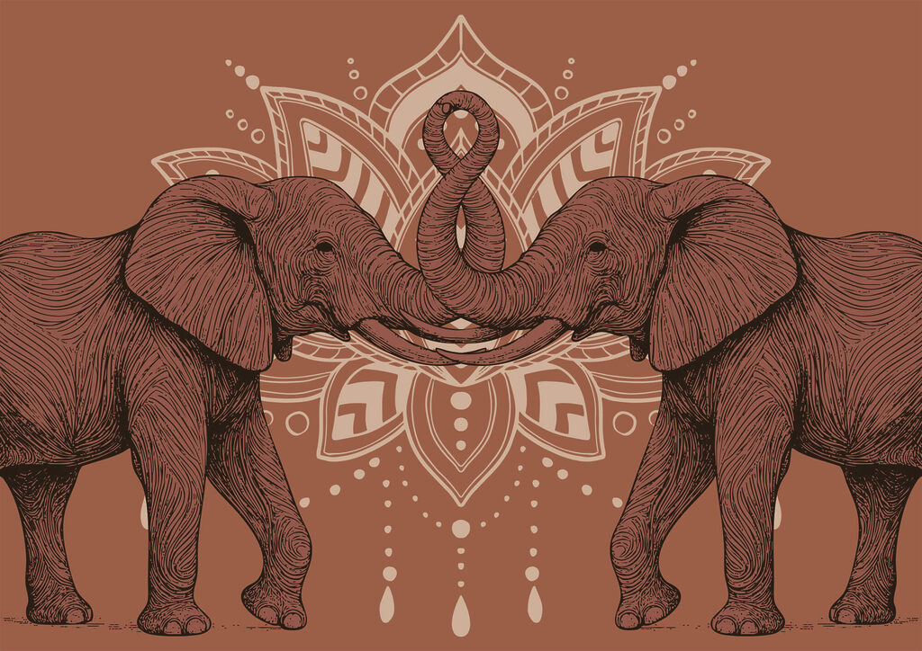Deux éléphants dont les trompes se touchent Deux éléphants dont les trompes se touchent